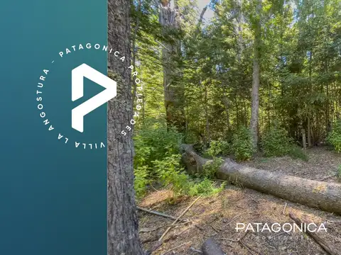 VENTA- Terreno plano con vista lago/montañas B°Manzano Chico, Villa la Angostura