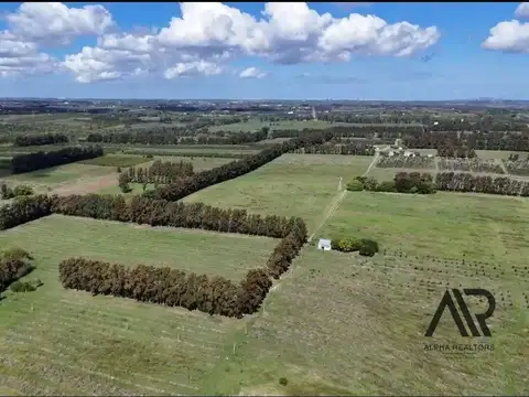 Campo en venta de 78m2 ubicado en Melilla