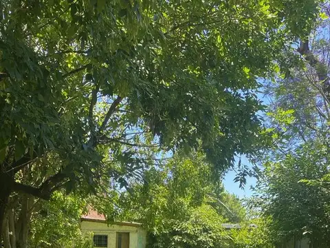 Juan Bautista Alberdi 700