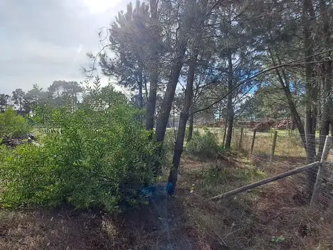 Terreno en Venta de 833,0 m2