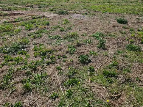 Terreno en Venta en Brisas De Manantiales, USD 73.000