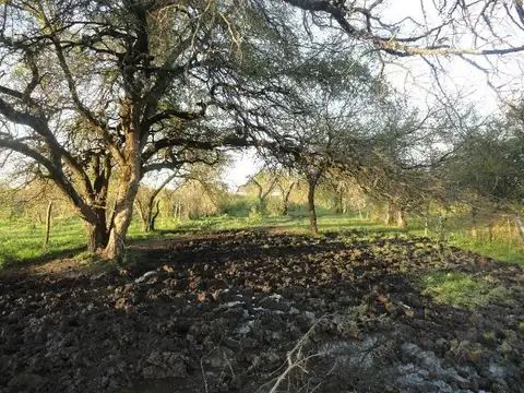 Campo en Venta con Alambrado