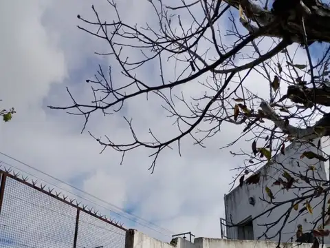 COMODORO PY 100, Piso 1