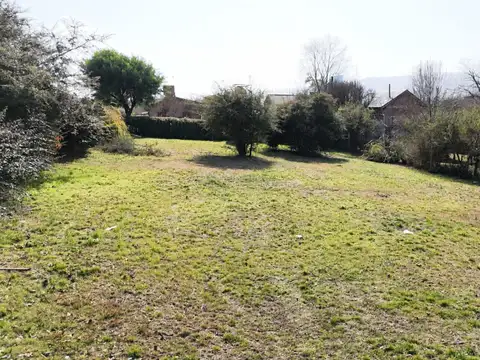 Terreno en Venta de 780,0 m2