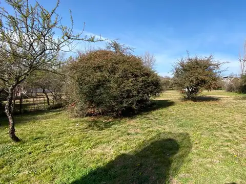 Terreno en Venta de 780,0 m2