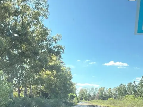 Terreno Campo  en Venta en Altos de Robles, Parada Robles, Exaltación de la Cruz