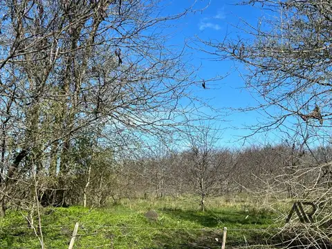 Campo en venta de 20m2 ubicado en Canelones