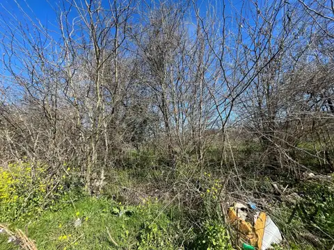 camino paso hondo colonia 100