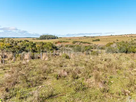 Campo en venta al norte de Garzón - Buen acceso