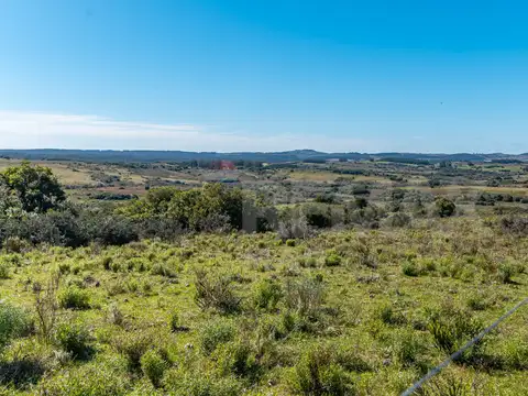 Campo en venta al norte de Garzón - Buen acceso