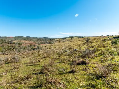 Campo en venta al norte de Garzón - Buen acceso