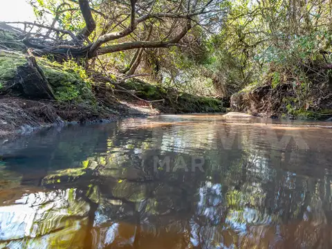Campo en venta al norte de Garzón - Buen acceso
