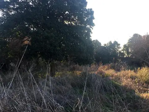 Campo en  Rio Tala San Pedro