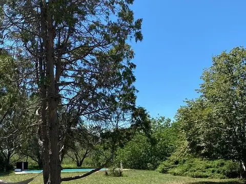 11 hectareas, la celina, san pedro, provincia de buenos aires