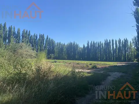 Chacra Frente Ruta 7 - VISTA ALEGRE SUR