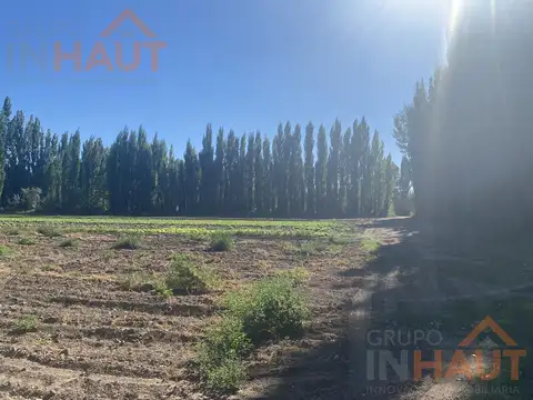 Terreno - Vista Alegre Sur