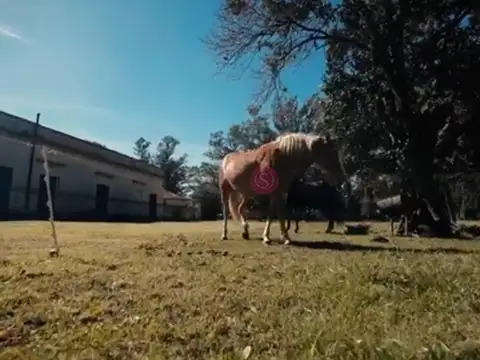 Terreno en Venta en Carabassa, USD 85.000