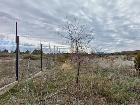 Terreno en Alquiler de 60000,0 m2