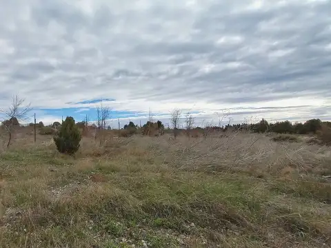 Terreno en Alquiler de 60000,0 m2