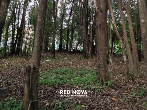 Terreno en Venta 30  mts Fondo