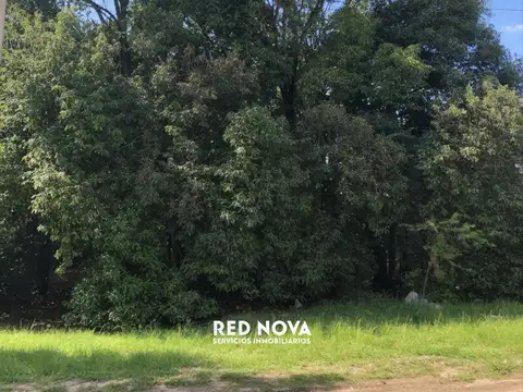 Pública