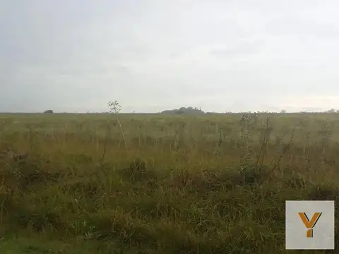 Campo en venta - 35 hectáreas - Agrícola - Ganadero - Magdalena