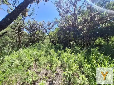 Ruta Nacional 38 km 90 - Barrio Santa Isabel