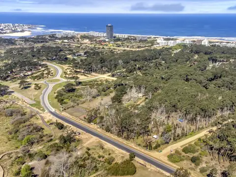 Terreno en Venta de 33162,0 m2