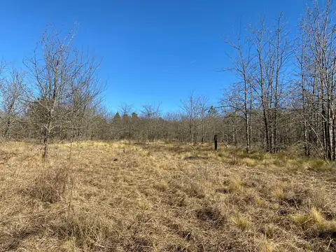 Terreno en Venta de 80000,0 m2