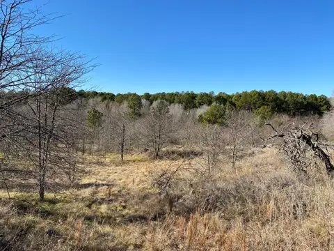 Camino viejo a Yacanto