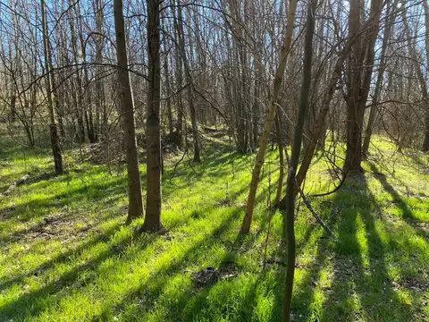 Camino viejo a Yacanto