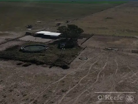 Campo mixto en venta 10.000 has en Patagones