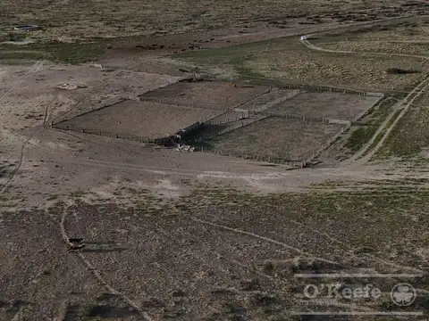 Campo mixto en venta 10.000 has en Patagones