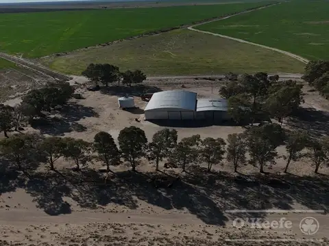 Campo mixto en venta 10.000 has en Patagones