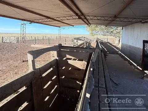 Campo mixto en venta 10.000 has en Patagones