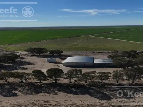 Campo mixto en venta 10.000 has en Patagones