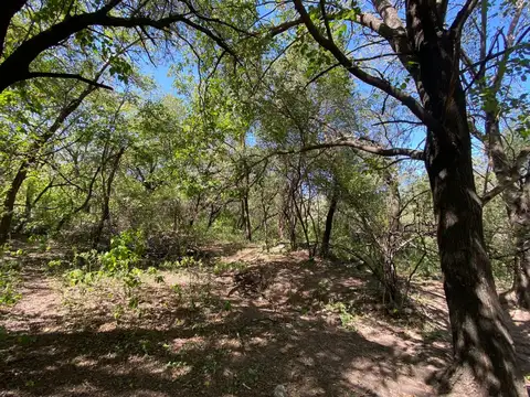 Terreno en Venta de 18358,0 m2