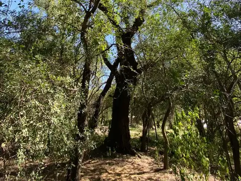 Terreno en Venta de 18358,0 m2