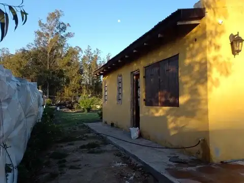 25 e/ 12 y 14