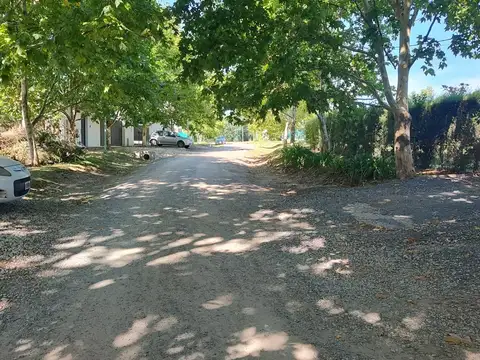 Calle 29 Entre 477 Y 480