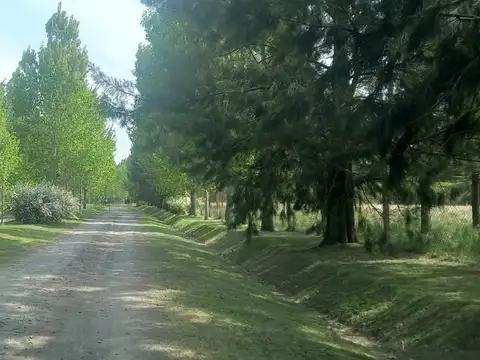Terreno en Venta en Kilómetro 58, USD 21.000