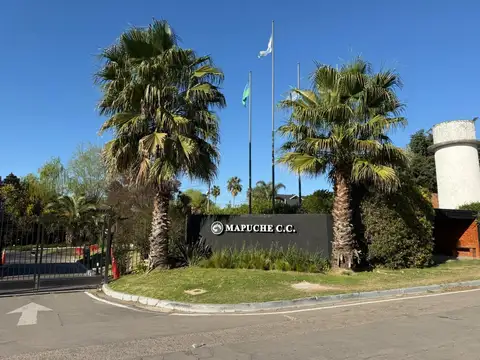 Mapuche