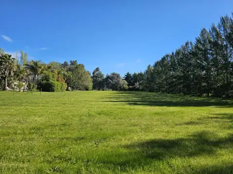 Campos de Roca 200