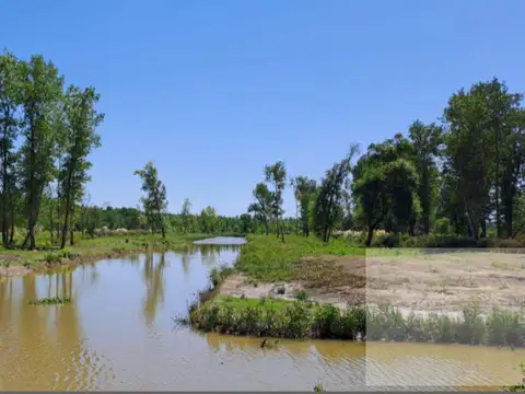 San Fernando | Zona Delta San Fernando | Zona Delta San Fernando | Parana De Las Palmas S. FernandoSan Fernando | Parana De Las Palmas S. Fernando