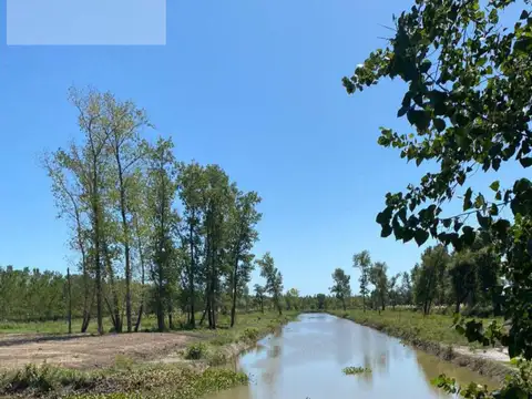 Terreno en Venta de 1250,0 m2