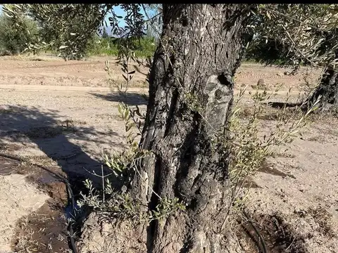 Terreno en Venta de 1008,0 m2