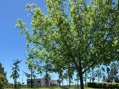 Terreno en Venta en San Gabriel, USD 260.000