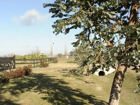 Terreno en Venta de 11424,0 m2