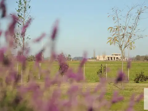 Terreno en Venta en Chacras de la Trinidad, USD 45.000