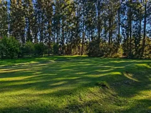 Terreno en Venta en Coronel Brandsen, USD 23.500